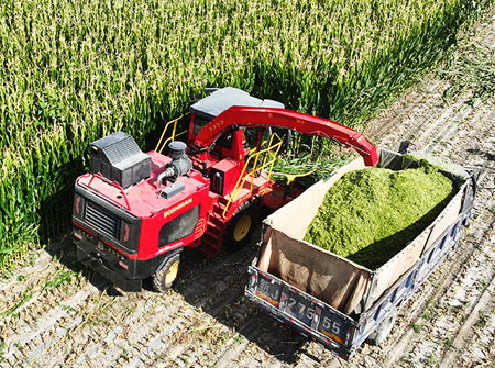 BG大游集团4QZ-3500青贮收获机