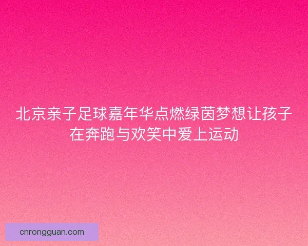 北京亲子足球嘉年华点燃绿茵梦想让孩子在奔跑与欢笑中爱上运动